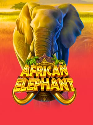 Elefante Africano