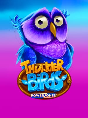 Power Zones: Thunder Birds