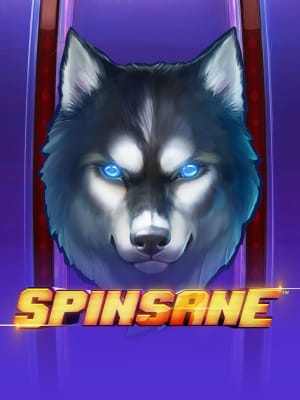 Spinsane™