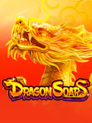 Dragão Ascendente - Hyper Wild